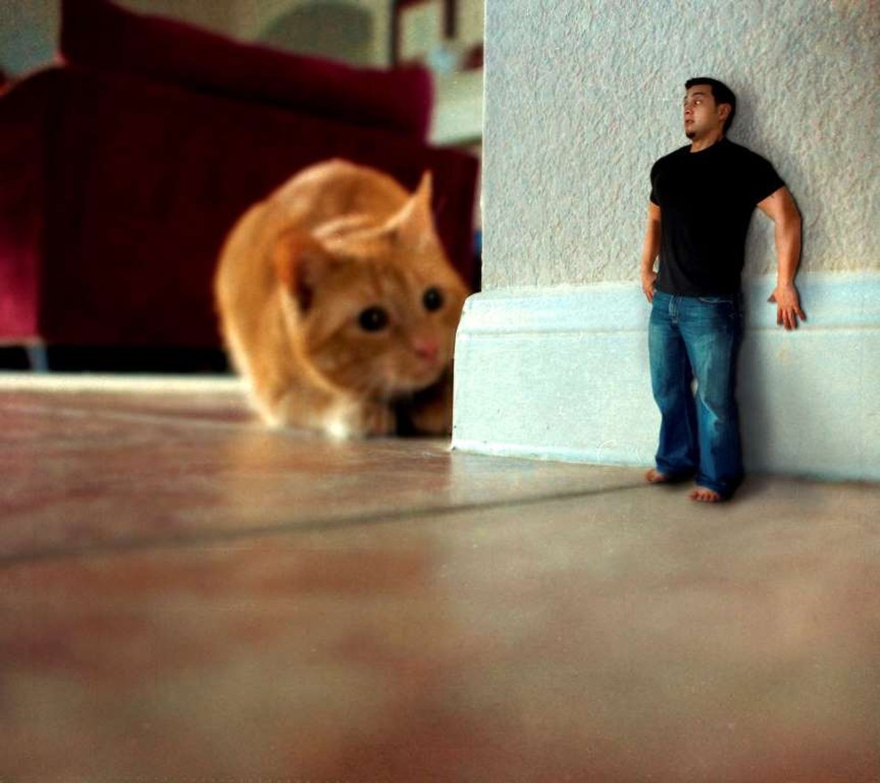 Странные фобии, о которых вы, возможно, никогда не слышали