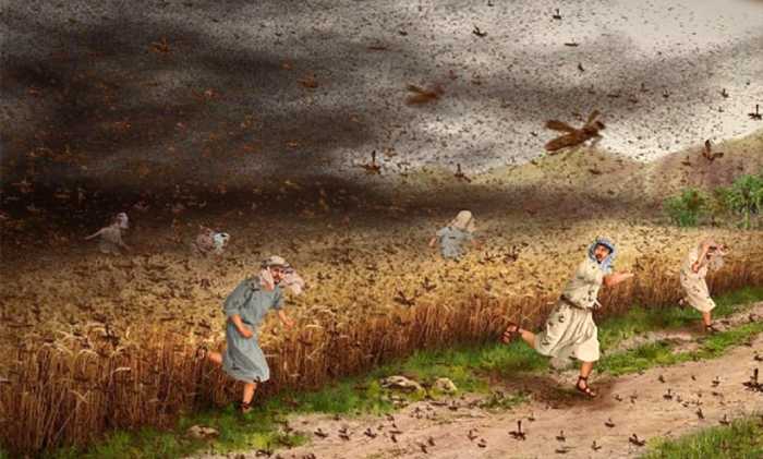 10 египетских казней: научные подтверждения библейских событий