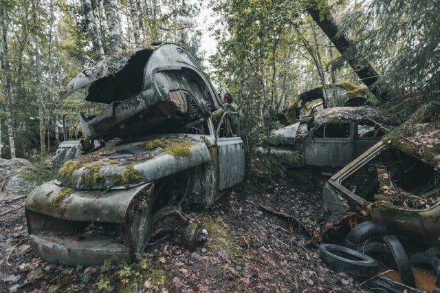 Кладбище ретро-автомобилей в лесу Швеции