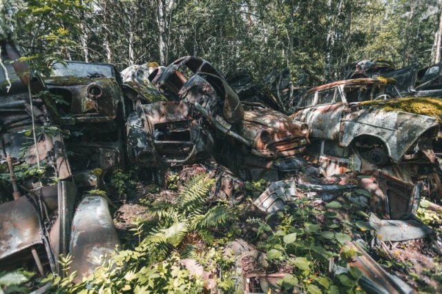 Кладбище ретро-автомобилей в лесу Швеции