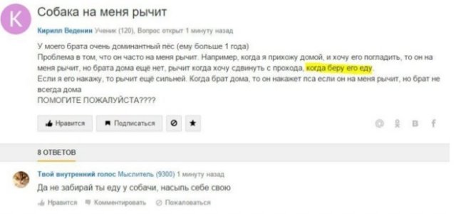 Смешные ответы на вопросы в Интернете