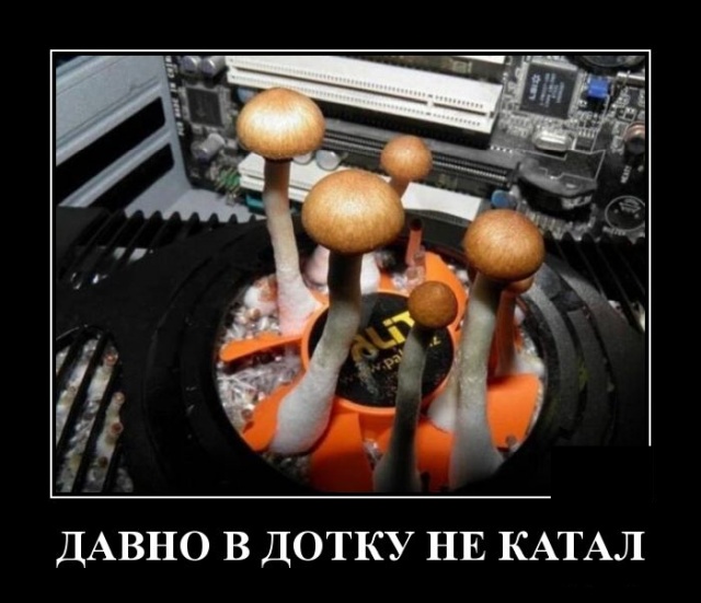 Демотиваторы