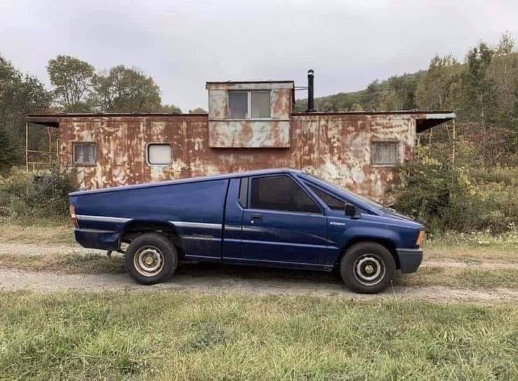 Прикольные картинки