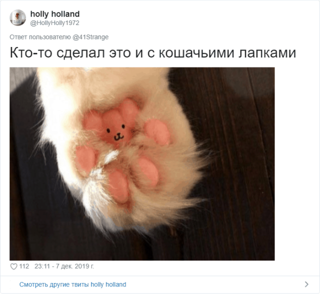 Пользователи Твиттера разгадали тайну подушечек на собачьих лапах