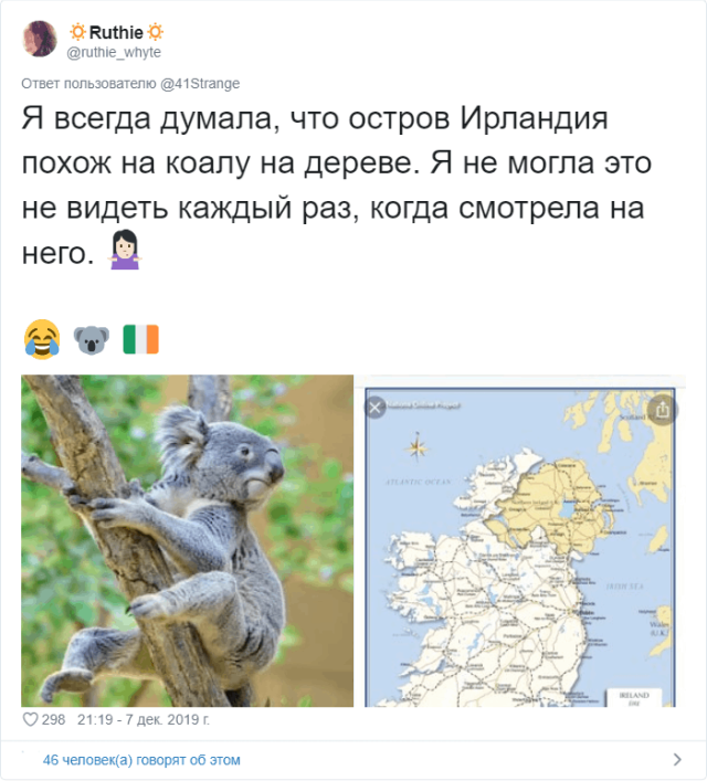 Пользователи Твиттера разгадали тайну подушечек на собачьих лапах