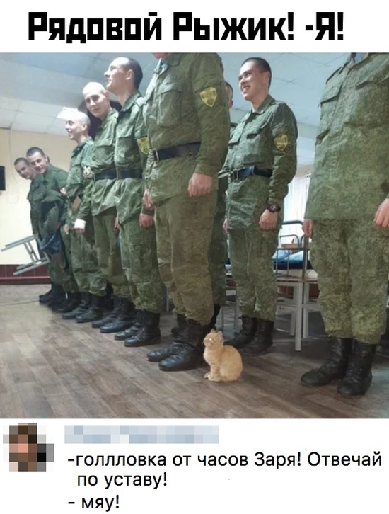 Прикольные картинки