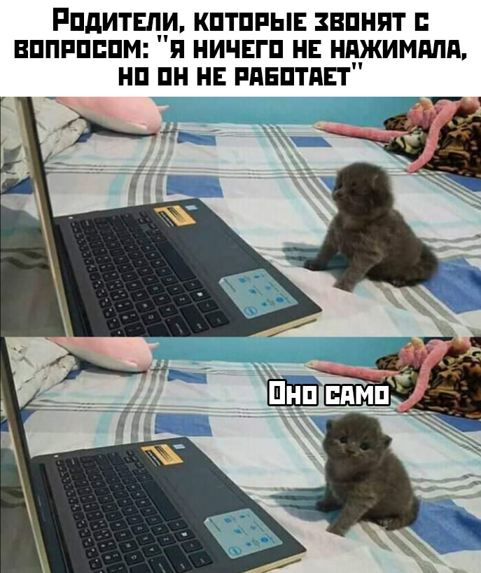 Прикольные картинки