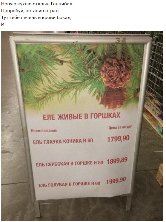 С рифмами по жизни