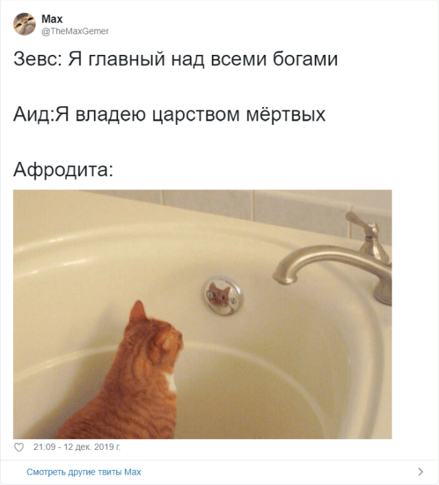 Новый тред в соцсетях: опишите древнегреческих богов с помощью мемов