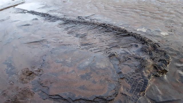 Британец гулял с собаками на пляже и случайно сделал археологическое открытие