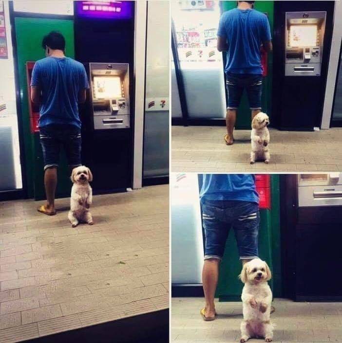 Прикольные картинки