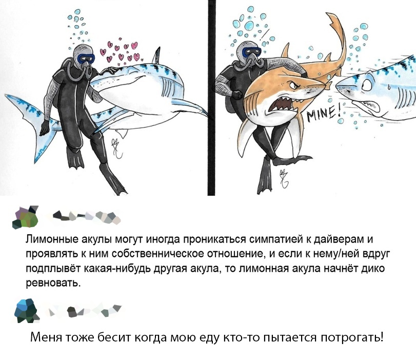 Прикольные картинки