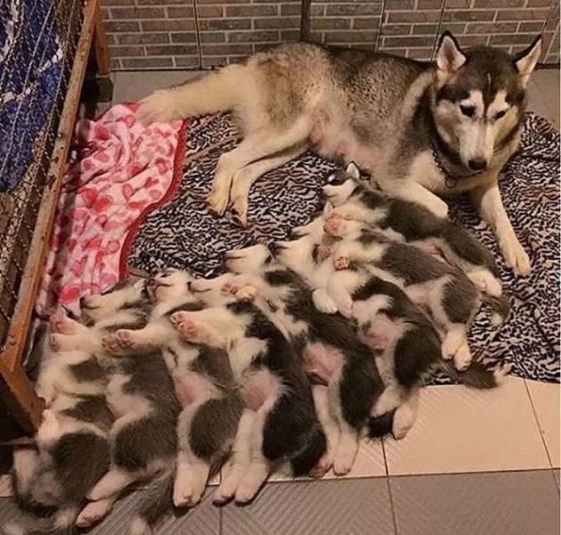 Прикольные картинки