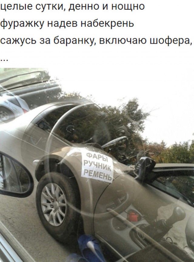 Прикольные картинки