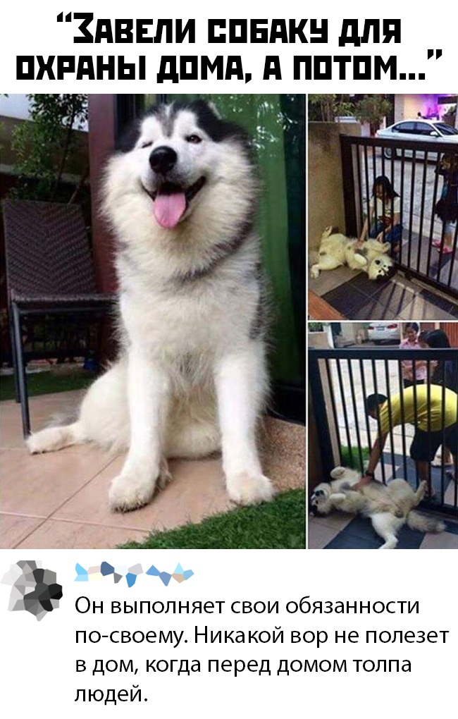 Прикольные картинки