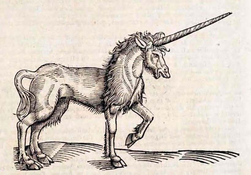 Странные лекарства, которыми лечились русские цари Странные лекарства, которыми лечились русские цари