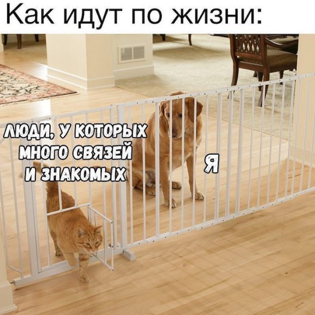 Прикольные картинки