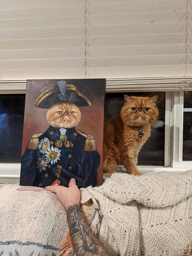 Прикольные картинки