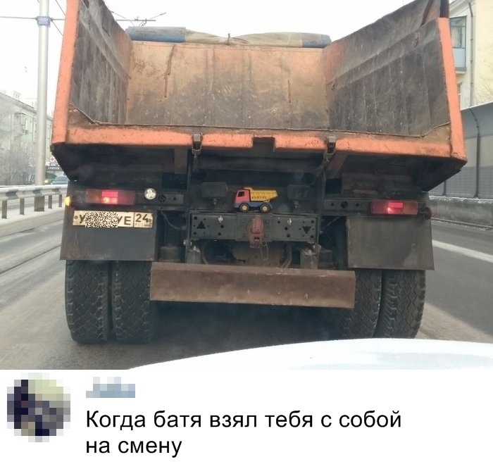 Прикольные картинки