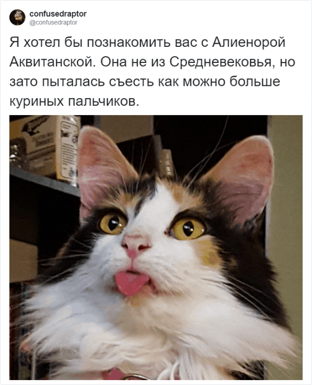 В Твиттере сравнили котов со средневековых картин и персонажей фильма "Кошки"
