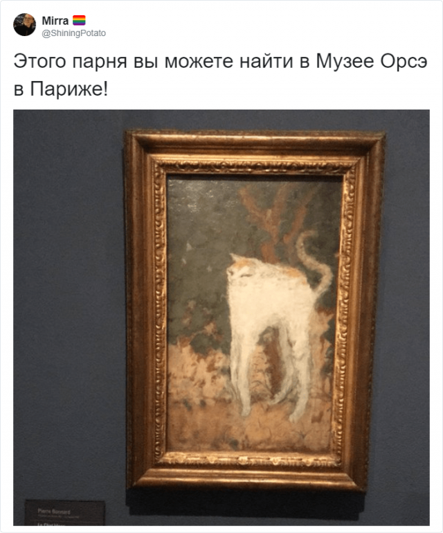 В Твиттере сравнили котов со средневековых картин и персонажей фильма "Кошки"