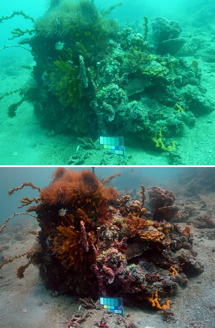 Море без воды