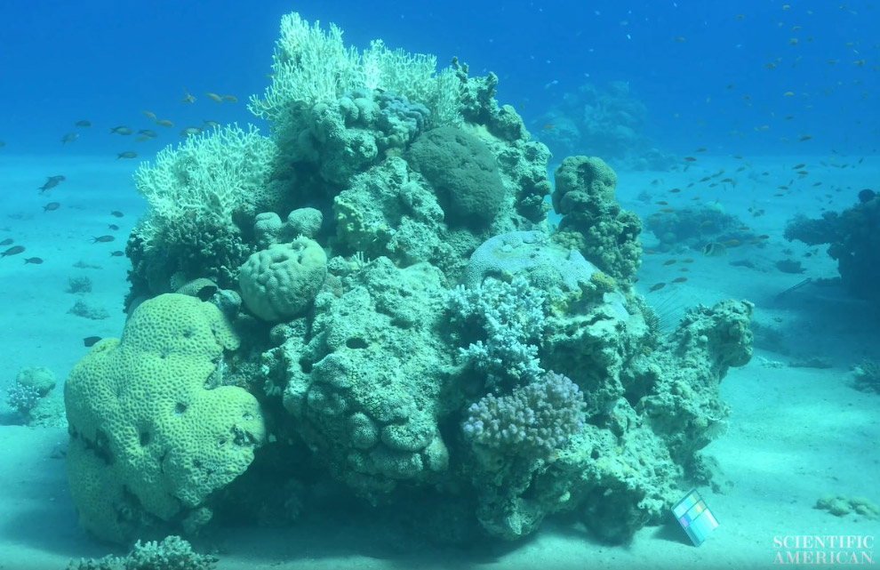 Море без воды