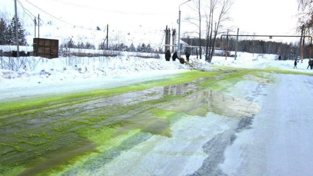Ничего необычного, просто с зеленый снежок в Свердловской области