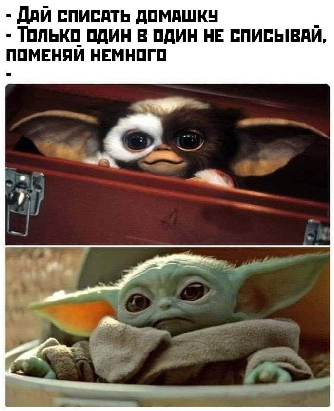 Прикольные картинки