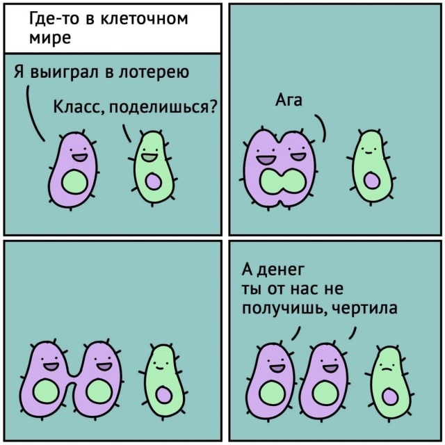 Прикольные картинки