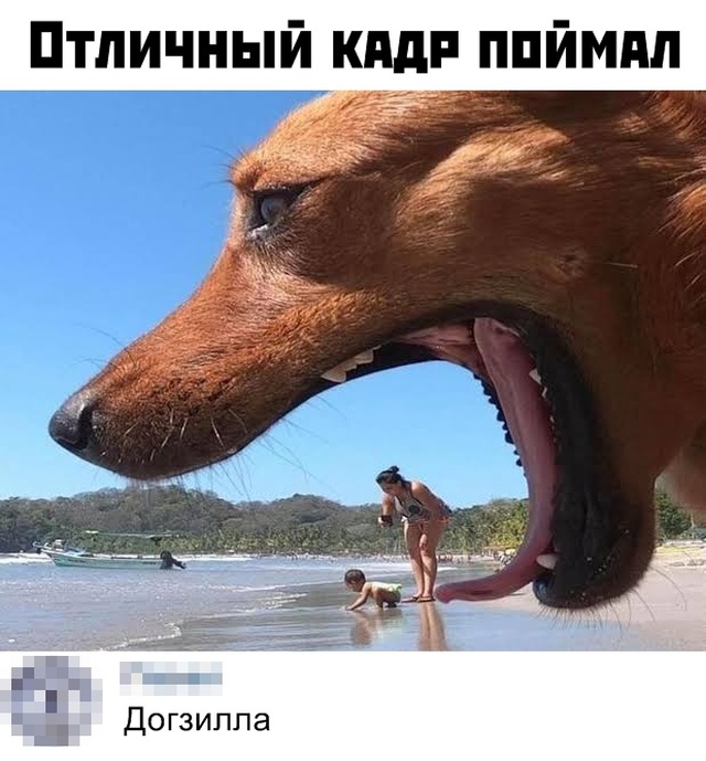 Прикольные картинки