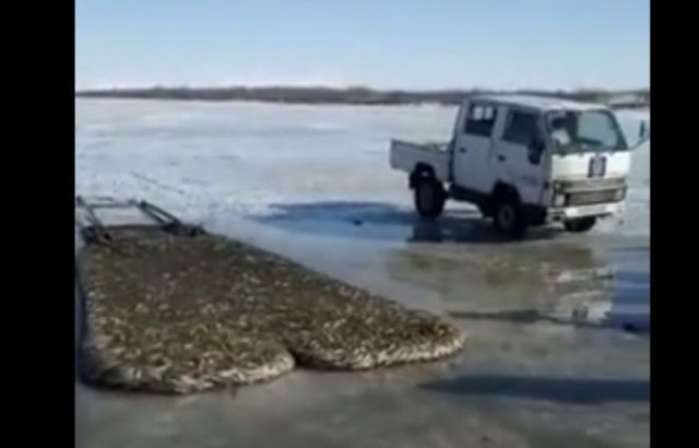 Автоматизированная рыбалка