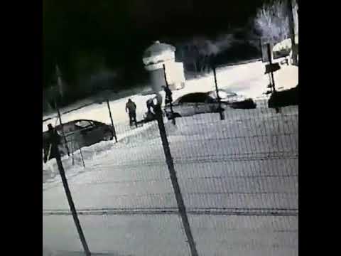 Нападение шакалят