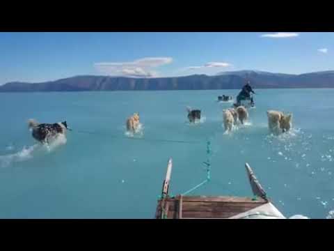 Грета Тунберг всё же права...