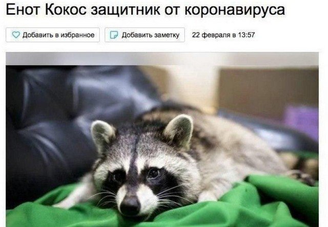 Россияне зарабатывают на коронавирусе