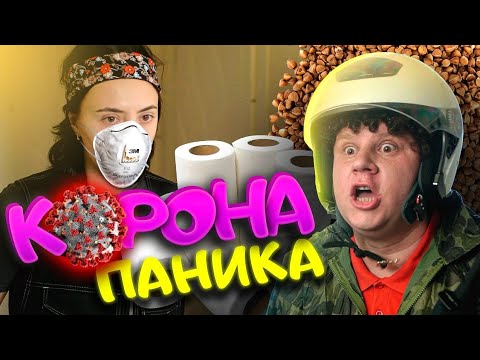 Кулик – КоронаПаника