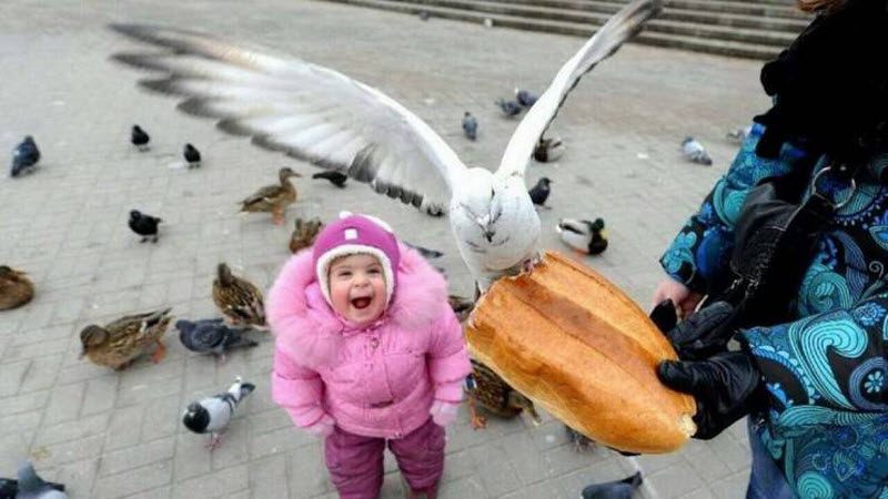 Прикольные картинки