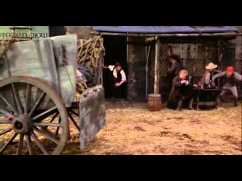 Во всём виновато общество!