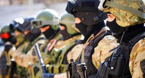 Житейские истории: TERRORISTS WIN