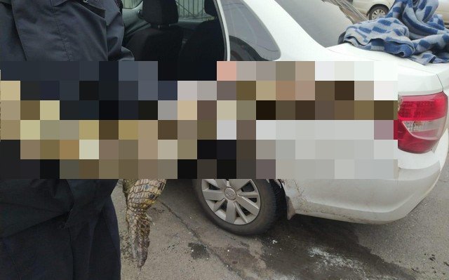 Житель Волгоградской области и его необычный питомец