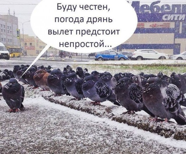 40 фактов о погоде.