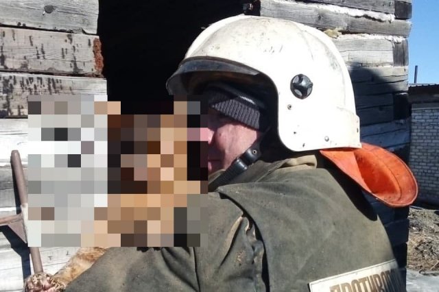 Фото дня: невозмутимый кот из Амурской области, которого вытащили из горящего дома