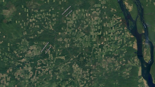 Японцы приобретут лесную компанию на Дальнем Востоке за $525 млн