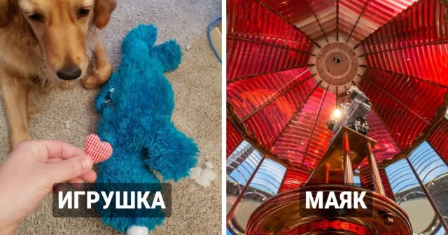Снимки которые показывают, что скрывается внутри привычных предметов
