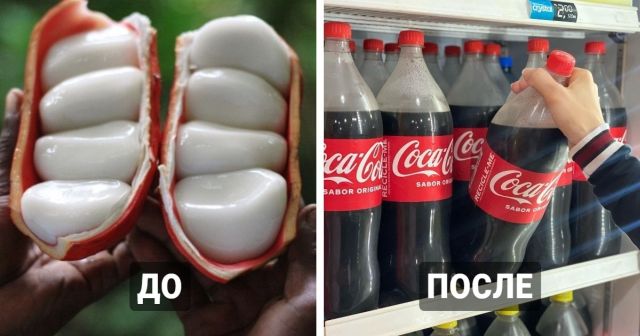 Интересные факты о разных товарах и продуктах