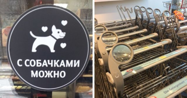 Примеры интересного и полезного сервиса для людей