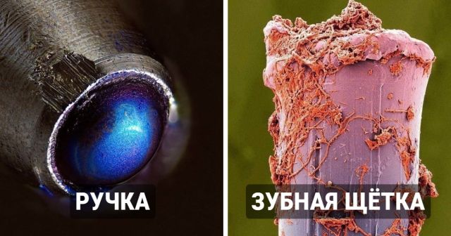 Мир через микроскоп