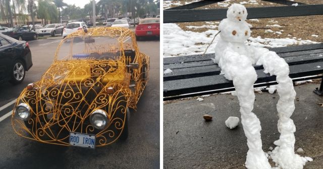 Любопытные и забавные наблюдения людей с городских улиц