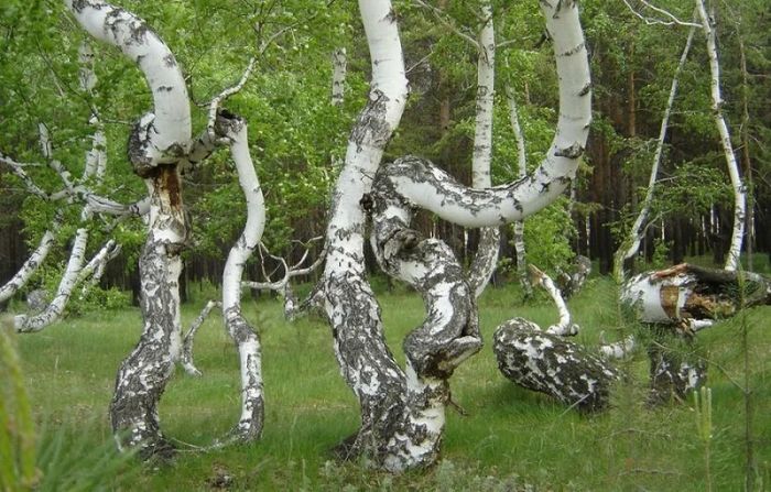 Самые таинственные явления на территории России