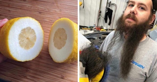 Подборка фотографий от людей, которым неповезло